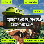 落新妇种植养护技巧与观赏价值解析(图1) 落新妇种植养护技巧与观赏价值解析(图1)