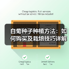 白菊种子种植方法:如何购买及栽培技巧详解(图3) 白菊种子种植方法:如何购买及栽培技巧详解(图3)
