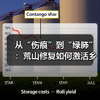 从“伤痕”到“绿肺”:荒山修复如何激活乡村经济?(图3) 从“伤痕”到“绿肺”:荒山修复如何激活乡村经济?(图3)