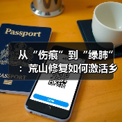 从“伤痕”到“绿肺”:荒山修复如何激活乡村经济?(图4) 从“伤痕”到“绿肺”:荒山修复如何激活乡村经济?(图4)