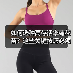 如何选种高存活率菊花苗？这些关键技巧必须知道！（图1）