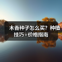 木香种子怎么买?种植技巧+价格指南(图3) 木香种子怎么买?种植技巧+价格指南(图3)