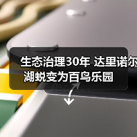 生态治理30年 达里诺尔湖蜕变为百鸟乐园（图2）