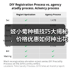 姬小菊种植技巧大揭秘,价格优惠如何种出花海?(图1) 姬小菊种植技巧大揭秘,价格优惠如何种出花海?(图1)