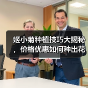 姬小菊种植技巧大揭秘,价格优惠如何种出花海?(图3) 姬小菊种植技巧大揭秘,价格优惠如何种出花海?(图3)