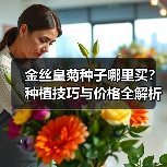 金丝皇菊种子哪里买?种植技巧与价格全解析(图4) 金丝皇菊种子哪里买?种植技巧与价格全解析(图4)