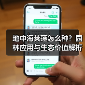 地中海荚蒾怎么种?园林应用与生态价值解析(图2) 地中海荚蒾怎么种?园林应用与生态价值解析(图2)