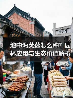 地中海荚蒾怎么种?园林应用与生态价值解析(图4) 地中海荚蒾怎么种?园林应用与生态价值解析(图4)