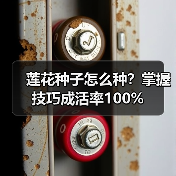 莲花种子怎么种?掌握技巧成活率100%(图1) 莲花种子怎么种?掌握技巧成活率100%(图1)