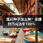 莲花种子怎么种?掌握技巧成活率100%(图4) 莲花种子怎么种?掌握技巧成活率100%(图4)