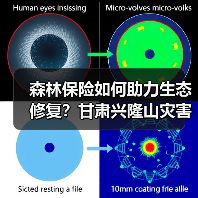 森林保险如何助力生态修复?甘肃兴隆山灾害案例解析(图2) 森林保险如何助力生态修复?甘肃兴隆山灾害案例解析(图2)