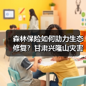 森林保险如何助力生态修复?甘肃兴隆山灾害案例解析(图4) 森林保险如何助力生态修复?甘肃兴隆山灾害案例解析(图4)
