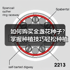 如何购买金盏花种子?掌握种植技巧轻松种植(图2) 如何购买金盏花种子?掌握种植技巧轻松种植(图2)