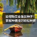如何购买金盏花种子?掌握种植技巧轻松种植(图1) 如何购买金盏花种子?掌握种植技巧轻松种植(图1)