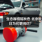 生态厚植延秋色 北京秋日为何更绚烂?(图1) 生态厚植延秋色 北京秋日为何更绚烂?(图1)