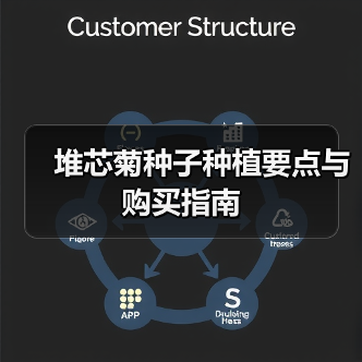 堆芯菊种子种植要点与购买指南（图3）