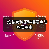 堆芯菊种子种植要点与购买指南（图2）