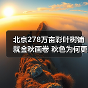 北京278万亩彩叶树铺就金秋画卷 秋色为何更胜往年?(图1) 北京278万亩彩叶树铺就金秋画卷 秋色为何更胜往年?(图1)