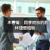 木春菊:四季绽放的园林理想植物(图2) 木春菊:四季绽放的园林理想植物(图2)