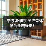 宁波如何用 宁波如何用