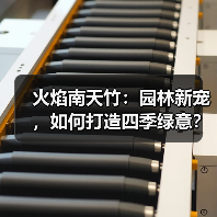 火焰南天竹：园林新宠，如何打造四季绿意？（图4）