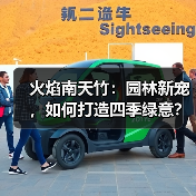 火焰南天竹：园林新宠，如何打造四季绿意？（图2）