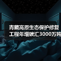 青藏高原生态保护修复工程年增碳汇3000万吨,如何助力 青藏高原生态保护修复工程年增碳汇3000万吨,如何助力