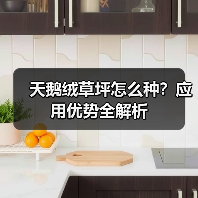 天鹅绒草坪怎么种？应用优势全解析（图4）