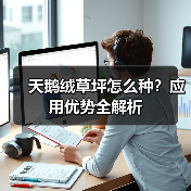 天鹅绒草坪怎么种？应用优势全解析（图2）