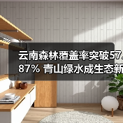 云南森林覆盖率突破57.87% 青山绿水成生态新标杆（图4）