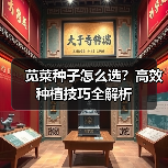 苋菜种子怎么选?高效种植技巧全解析(图4) 苋菜种子怎么选?高效种植技巧全解析(图4)