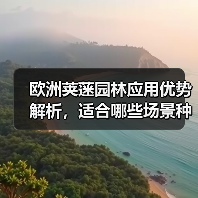 欧洲荚蒾园林应用优势解析,适合哪些场景种植?(图3) 欧洲荚蒾园林应用优势解析,适合哪些场景种植?(图3)