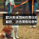 欧洲荚蒾园林应用优势解析,适合哪些场景种植?(图4) 欧洲荚蒾园林应用优势解析,适合哪些场景种植?(图4)
