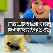 广西生态修复如何将废弃矿坑蜕变为绿色财富?系统性治理经验解析(图2) 广西生态修复如何将废弃矿坑蜕变为绿色财富?系统性治理经验解析(图2)