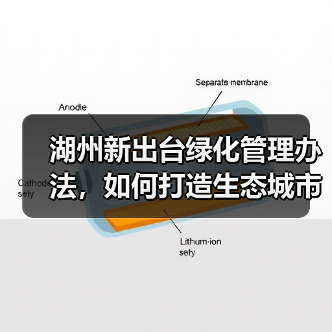 湖州新出台绿化管理办法，如何打造生态城市？（图2）