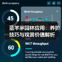 蓝羊茅园林应用:养护技巧与观赏价值解析(图2) 蓝羊茅园林应用:养护技巧与观赏价值解析(图2)