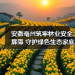 安徽亳州筑牢林业安全屏障 守护绿色生态家底举措解析(图4) 安徽亳州筑牢林业安全屏障 守护绿色生态家底举措解析(图4)