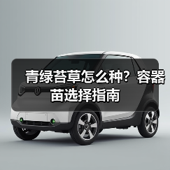青绿苔草怎么种?容器苗选择指南(图2) 青绿苔草怎么种?容器苗选择指南(图2)