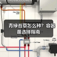 青绿苔草怎么种?容器苗选择指南(图4) 青绿苔草怎么种?容器苗选择指南(图4)