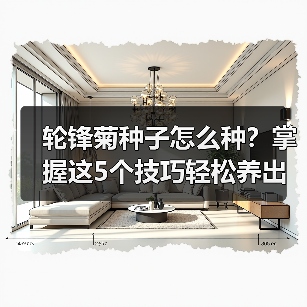 轮锋菊种子怎么种?掌握这5个技巧轻松养出花海(图1) 轮锋菊种子怎么种?掌握这5个技巧轻松养出花海(图1)
