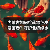 内蒙古如何绘就绿色发展画卷?守护北疆绿水青山的生态答卷(图3) 内蒙古如何绘就绿色发展画卷?守护北疆绿水青山的生态答卷(图3)