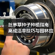 丝茅草种子种植指南:高成活率技巧与园林应用全解析(图2) 丝茅草种子种植指南:高成活率技巧与园林应用全解析(图2)