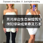 黄河岸边生态屏障筑牢 濮阳绿染成果惠及万家（图4）