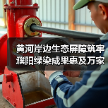 黄河岸边生态屏障筑牢 濮阳绿染成果惠及万家（图1）
