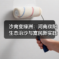 沙窝变绿洲:河南濮阳生态治沙与富民新实践(图3) 沙窝变绿洲:河南濮阳生态治沙与富民新实践(图3)