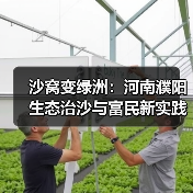 沙窝变绿洲:河南濮阳生态治沙与富民新实践(图1) 沙窝变绿洲:河南濮阳生态治沙与富民新实践(图1)