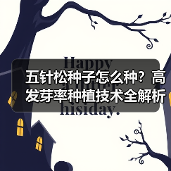 五针松种子怎么种？高发芽率种植技术全解析（图4）