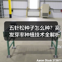 五针松种子怎么种?高发芽率种植技术全解析(图3) 五针松种子怎么种?高发芽率种植技术全解析(图3)