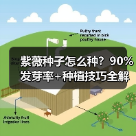 紫薇种子怎么种？90%发芽率+种植技巧全解析（图1）