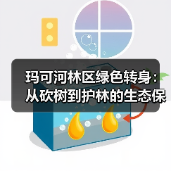 玛可河林区绿色转身:从砍树到护林的生态保护实践(图3) 玛可河林区绿色转身:从砍树到护林的生态保护实践(图3)